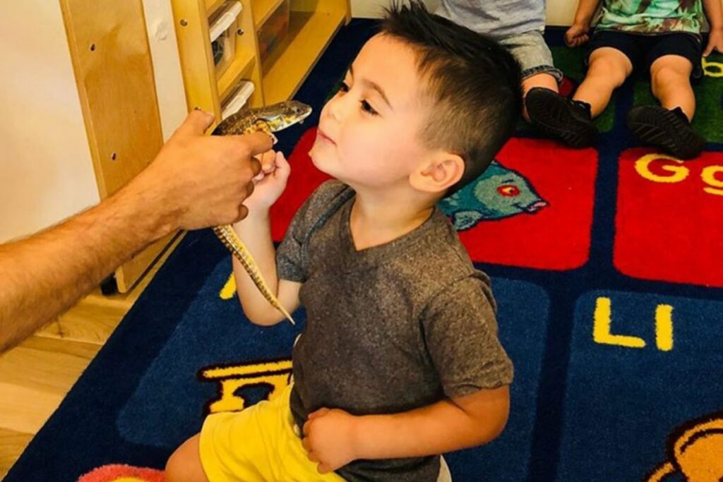 young boy playing with lizzard at a Preschool & Daycare Serving North Hollywood, Santa Monica & Van Nuys, CA